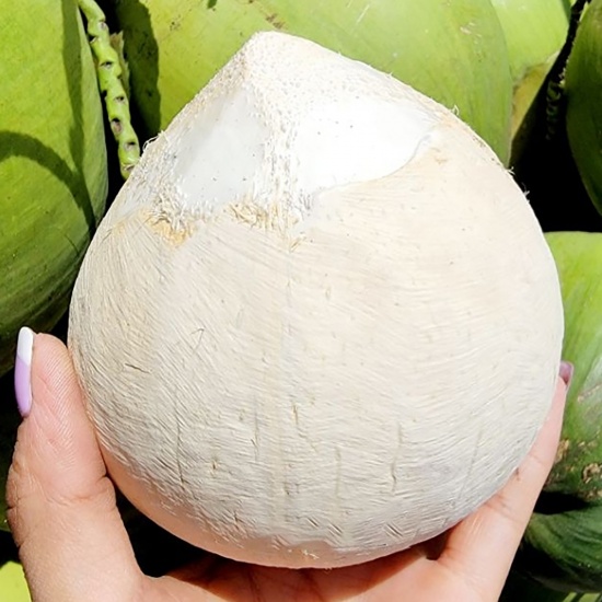 Dừa dứa siêu thơm, tươi mát